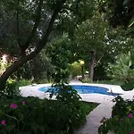 فيلة Art ماكارسكا